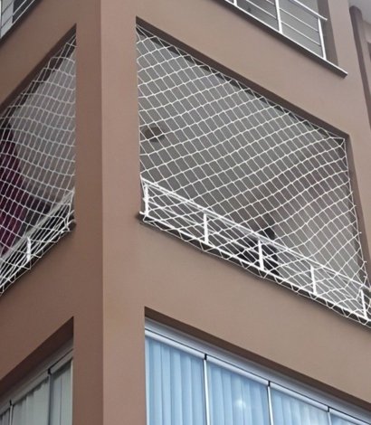Bird Net