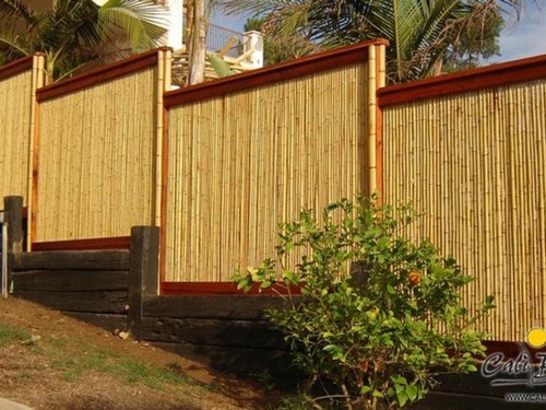 Bamboo Fencing