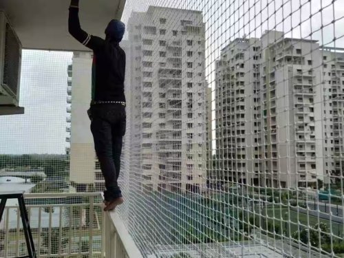 Bird Net