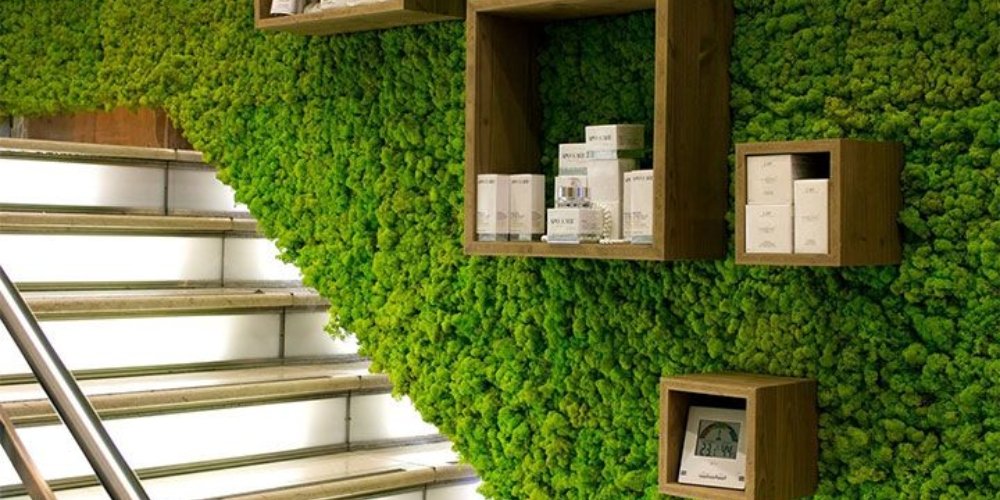 Healthcare Facility Design